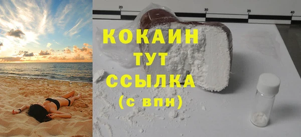 соль ск Богородск