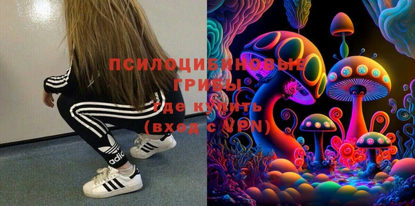 марки lsd Богданович
