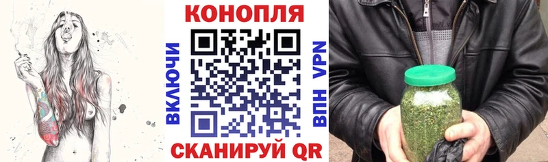 Бошки Шишки план  Купить закладки  Хвалынск 